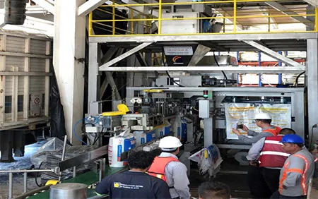 Meksika'daki ISAOSA şirketi için otomatik torbalama ve paletleme ekipmanı