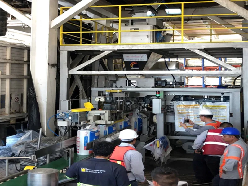 Meksika'daki ISAOSA şirketi için otomatik torbalama ve paletleme ekipmanı