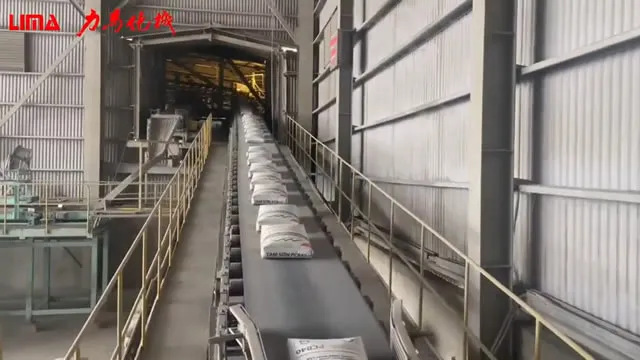 Vietnam’daki çimento firması için Otomatik Torbalama ve Paletleme Makinası 